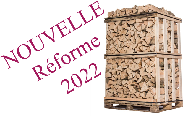 reform_bois_22 Ambiance feu reforme bois 2002